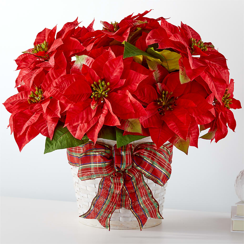 Happiest Holidays Poinsettia – HEARTS & FLOWERS FLORIST, Pine Bush NY