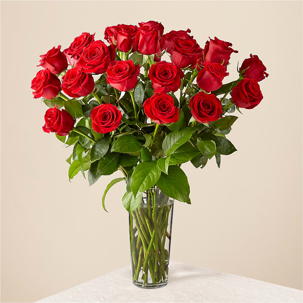 Long Stem Red Rose Bouquet – HEARTS & FLOWERS FLORIST, Pine Bush NY