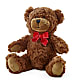 Adorable Plush Bear – HEARTS & FLOWERS FLORIST, Pine Bush NY