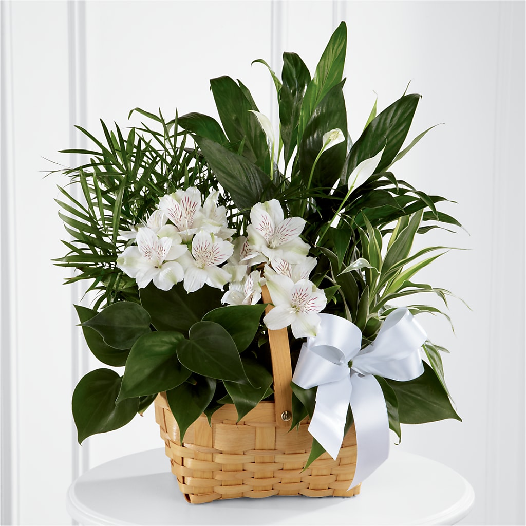 Peace & Serenity Dishgarden – HEARTS & FLOWERS FLORIST, Pine Bush NY
