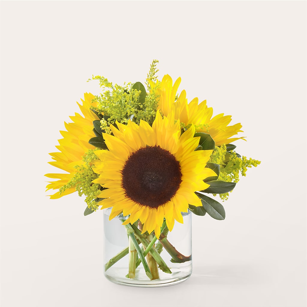 Beaming Sunflower Bouquet – HEARTS & FLOWERS FLORIST, Pine Bush NY