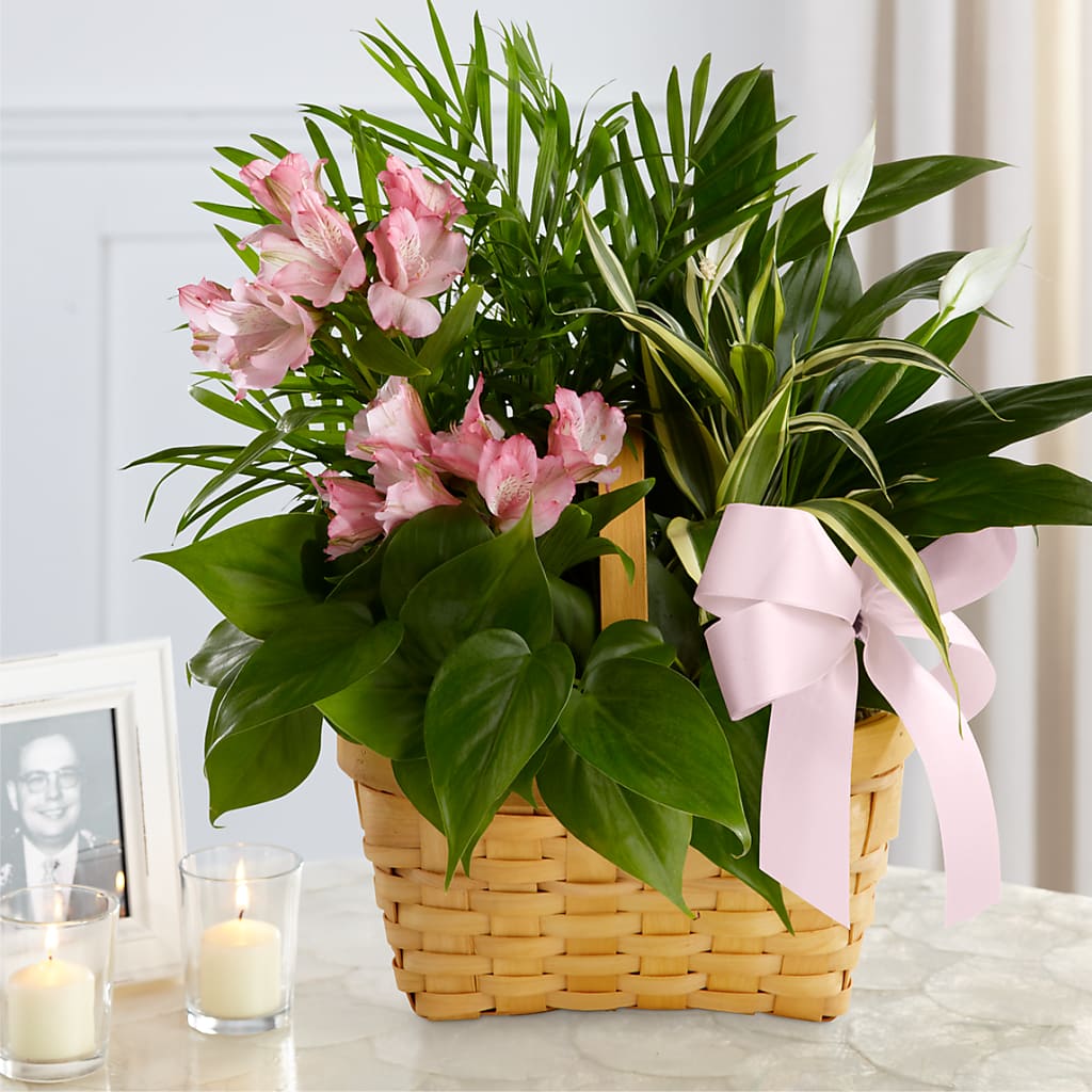 Living Spirit Dishgarden – HEARTS & FLOWERS FLORIST, Pine Bush NY