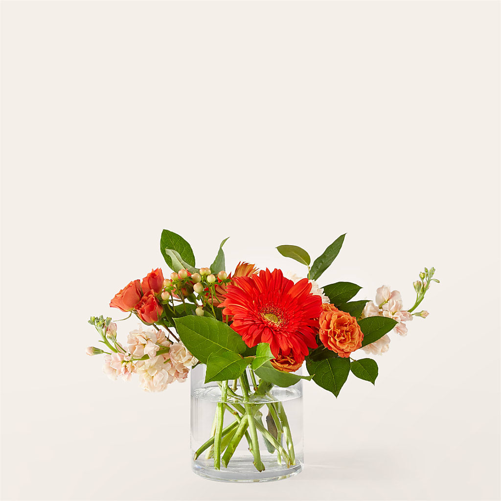 Paloma Please Bouquet – HEARTS & FLOWERS FLORIST, Pine Bush NY