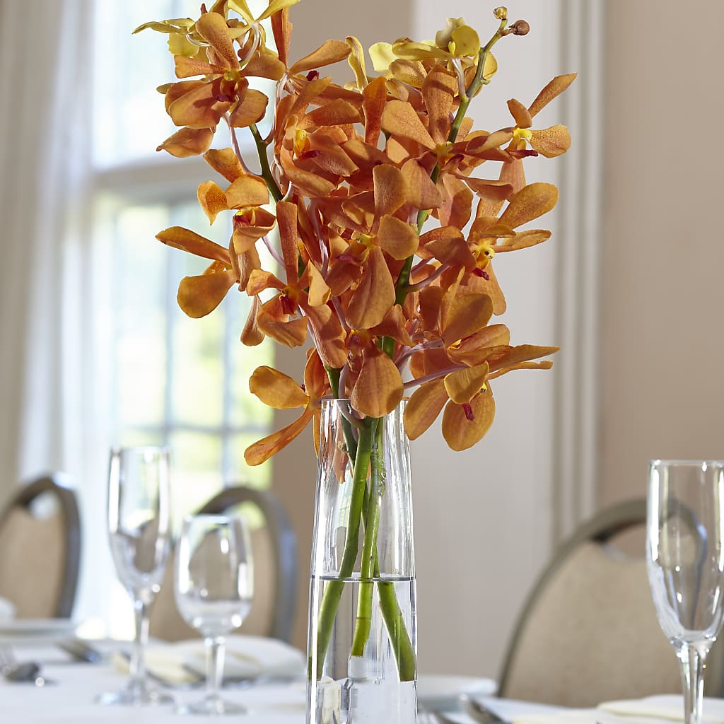 Orange Mokara Bud Vase – HEARTS & FLOWERS FLORIST, Pine Bush NY