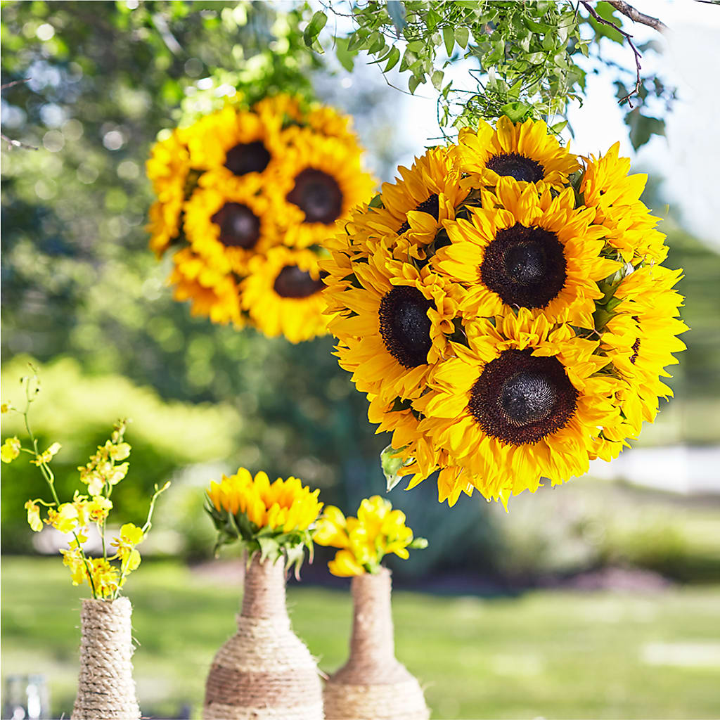 Sublime Garden Hanging Arrangement – HEARTS & FLOWERS FLORIST, Pine Bush NY