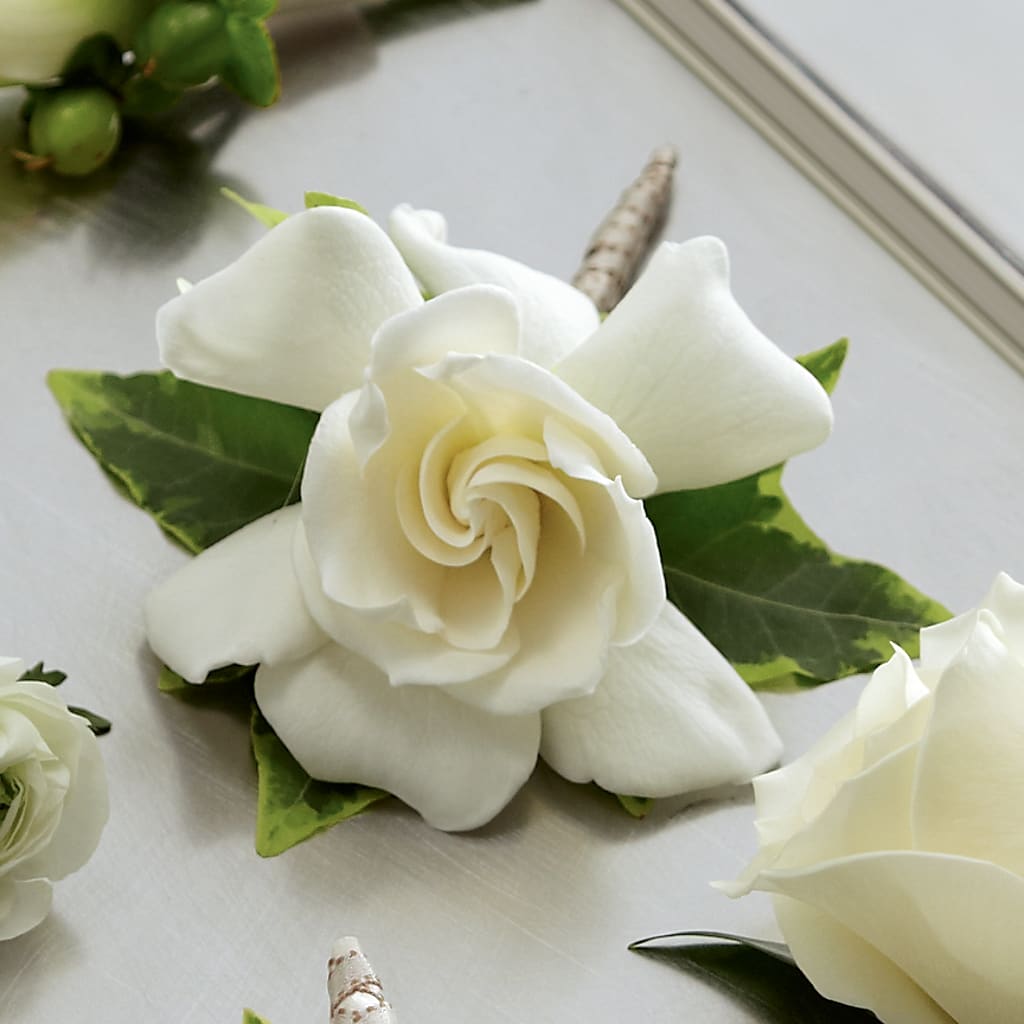 Gardenia Boutonniere – HEARTS & FLOWERS FLORIST, Pine Bush NY