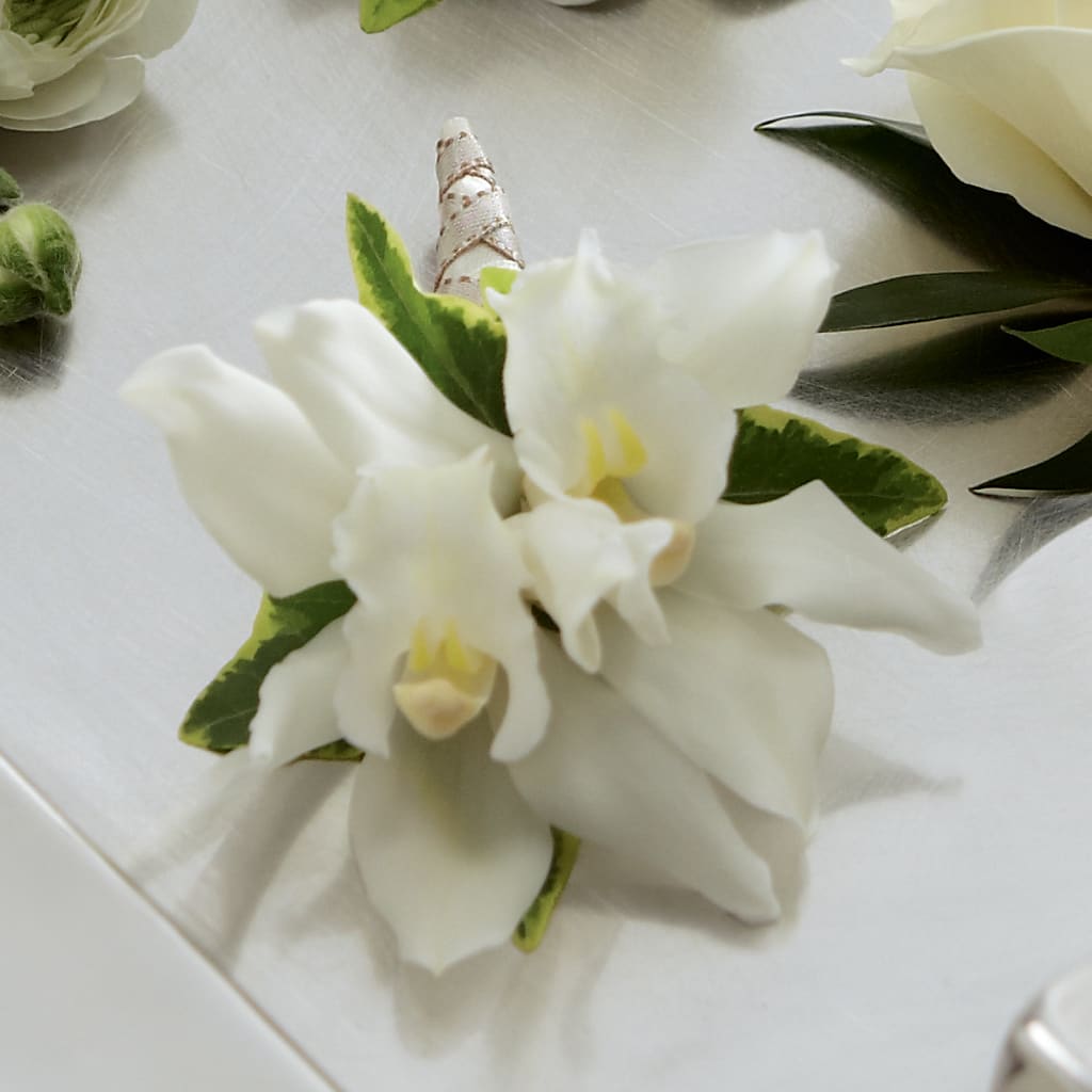 White Mini Cymbidium Boutonniere – HEARTS & FLOWERS FLORIST, Pine Bush NY