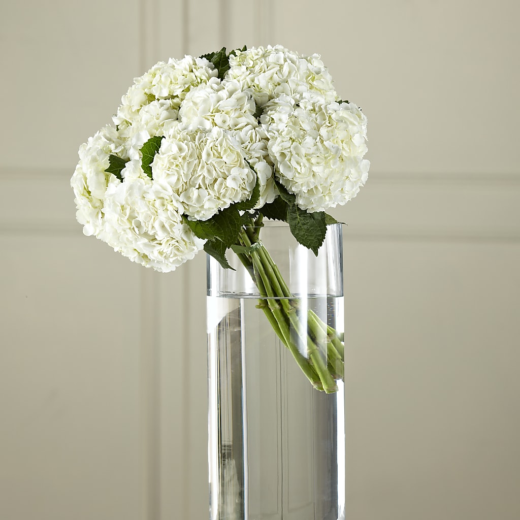 White Hydrangea Hand-Tied Bouquet – HEARTS & FLOWERS FLORIST, Pine Bush NY