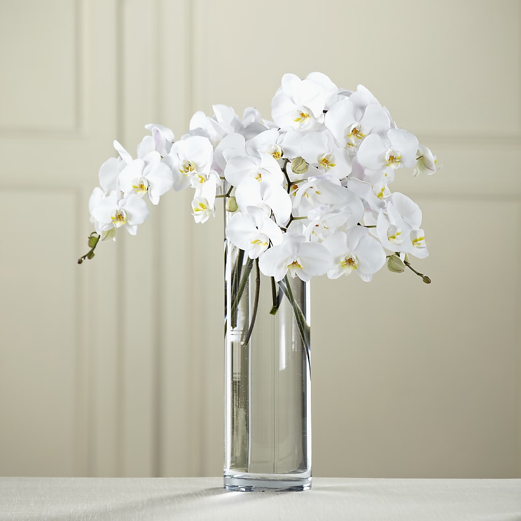 White Phalaenopsis Bouquet – HEARTS & FLOWERS FLORIST, Pine Bush NY