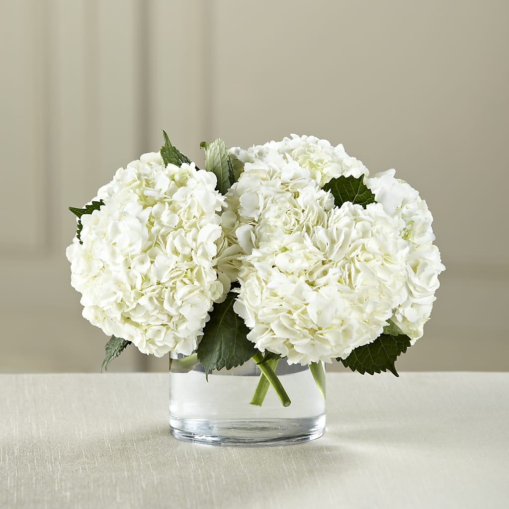 White Hydrangea Bouquet – HEARTS & FLOWERS FLORIST, Pine Bush NY