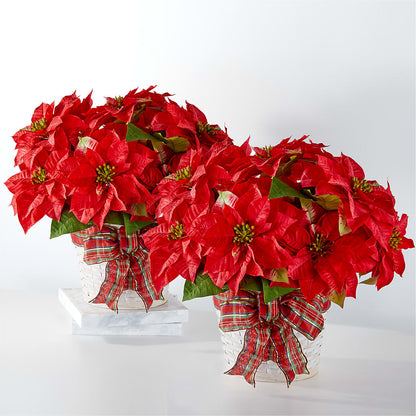 Happiest Holidays Poinsettia Bundle – HEARTS & FLOWERS FLORIST, Pine Bush NY
