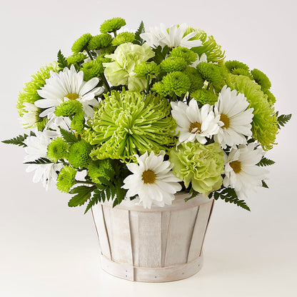 Lucky Charm Basket (Standard) – HEARTS & FLOWERS FLORIST, Pine Bush NY