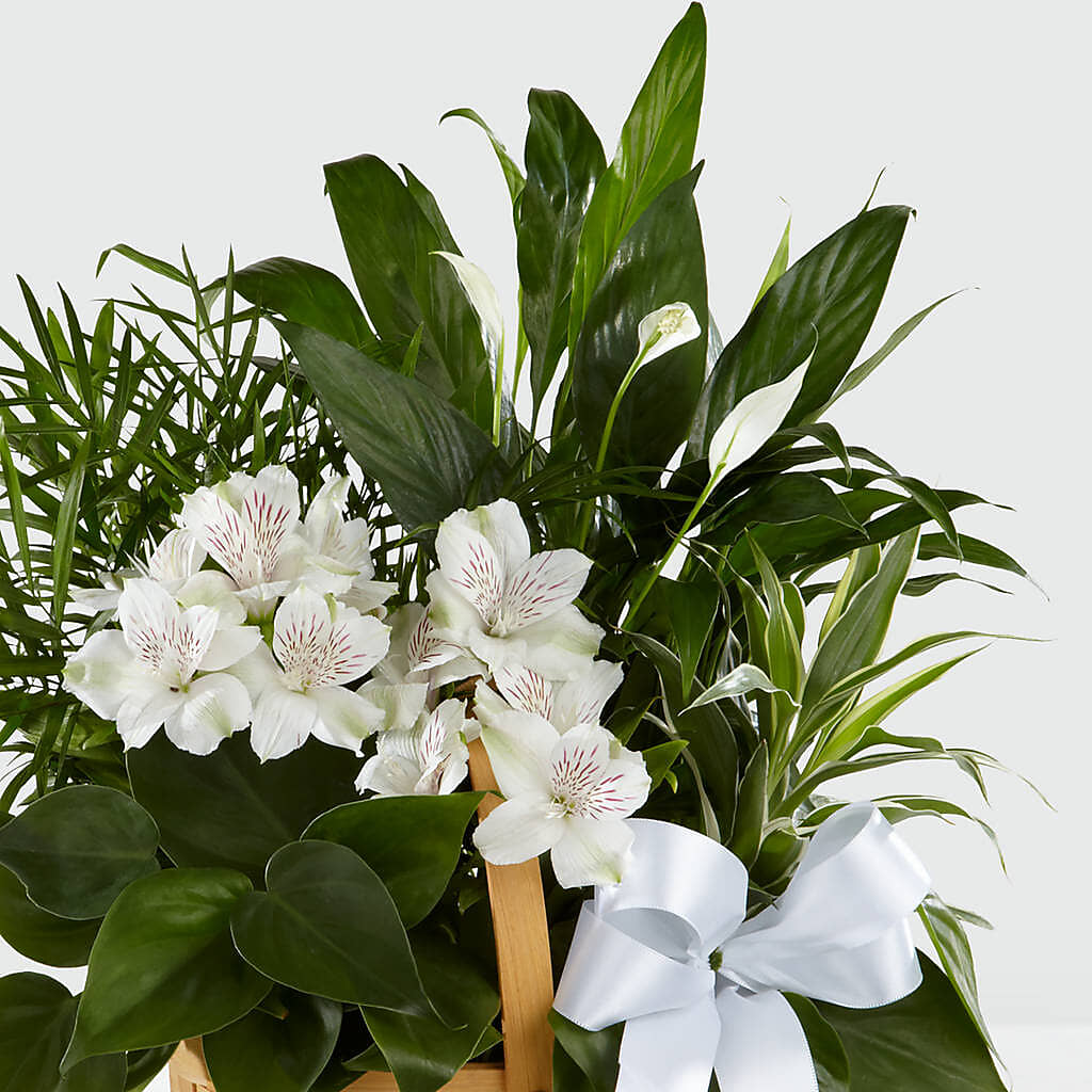 Peace & Serenity Dishgarden – HEARTS & FLOWERS FLORIST, Pine Bush NY