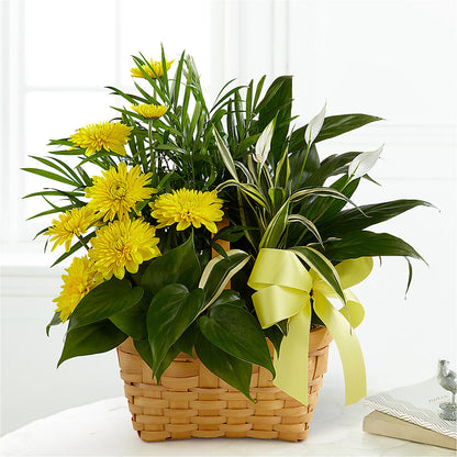 Loving Light Dishgarden – HEARTS & FLOWERS FLORIST, Pine Bush NY