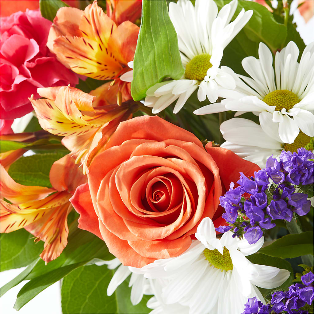 Oopsie Daisy Box Bouquet – HEARTS & FLOWERS FLORIST, Pine Bush NY