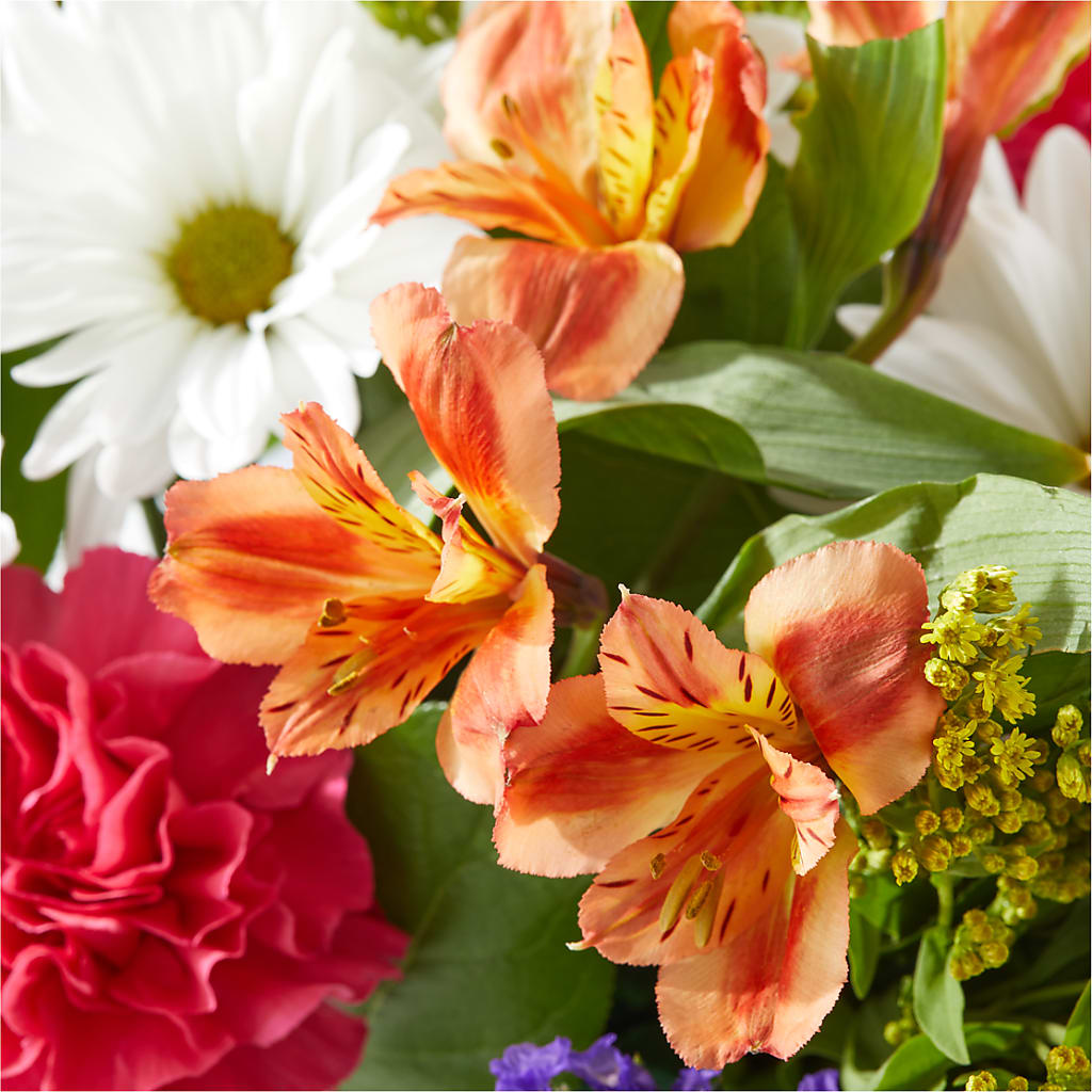 Oopsie Daisy Box Bouquet – HEARTS & FLOWERS FLORIST, Pine Bush NY