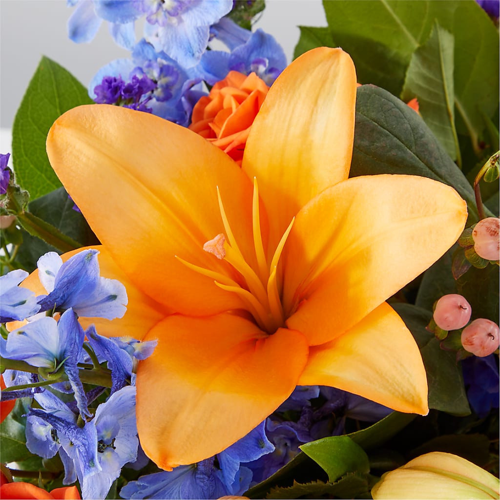 Radiant Citrus Box Bouquet – HEARTS & FLOWERS FLORIST, Pine Bush NY