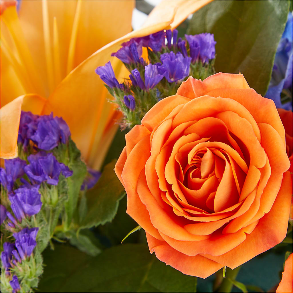 Radiant Citrus Box Bouquet – HEARTS & FLOWERS FLORIST, Pine Bush NY