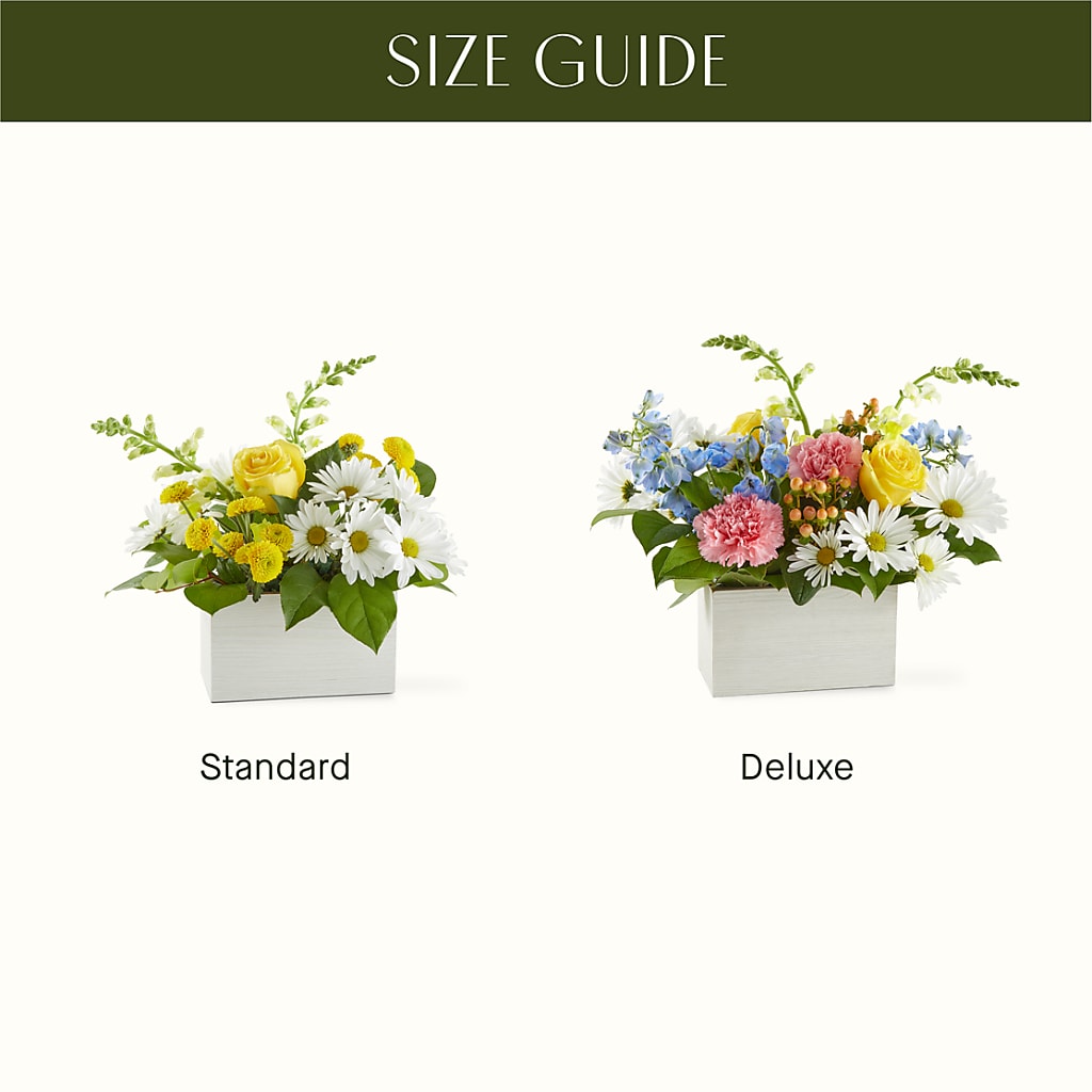 Sun Salutation Box Bouquet – HEARTS & FLOWERS FLORIST, Pine Bush NY