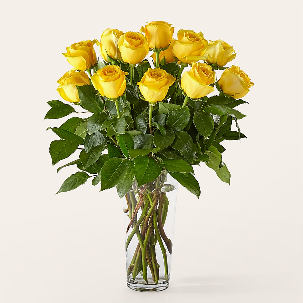 Long Stem Yellow Rose Bouquet