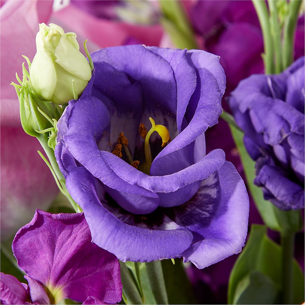 Twilight Glow Bouquet – HEARTS & FLOWERS FLORIST, Pine Bush NY