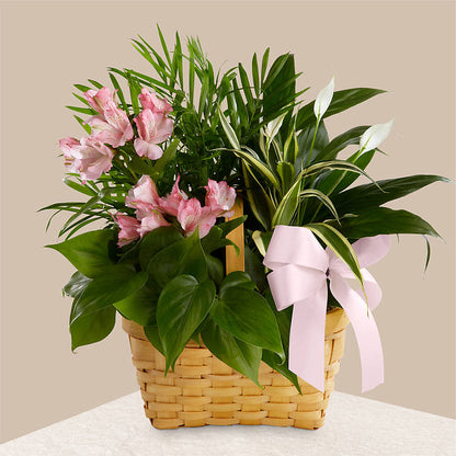 Living Spirit Dishgarden – HEARTS & FLOWERS FLORIST, Pine Bush NY