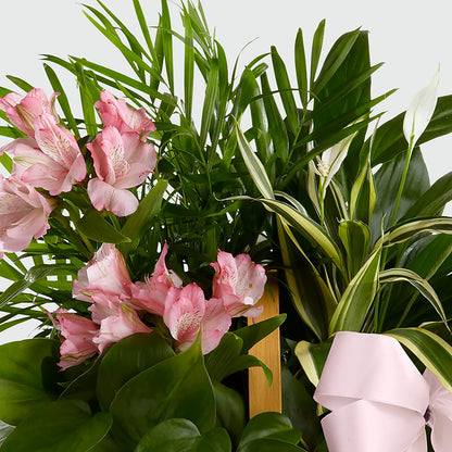 Living Spirit Dishgarden – HEARTS & FLOWERS FLORIST, Pine Bush NY