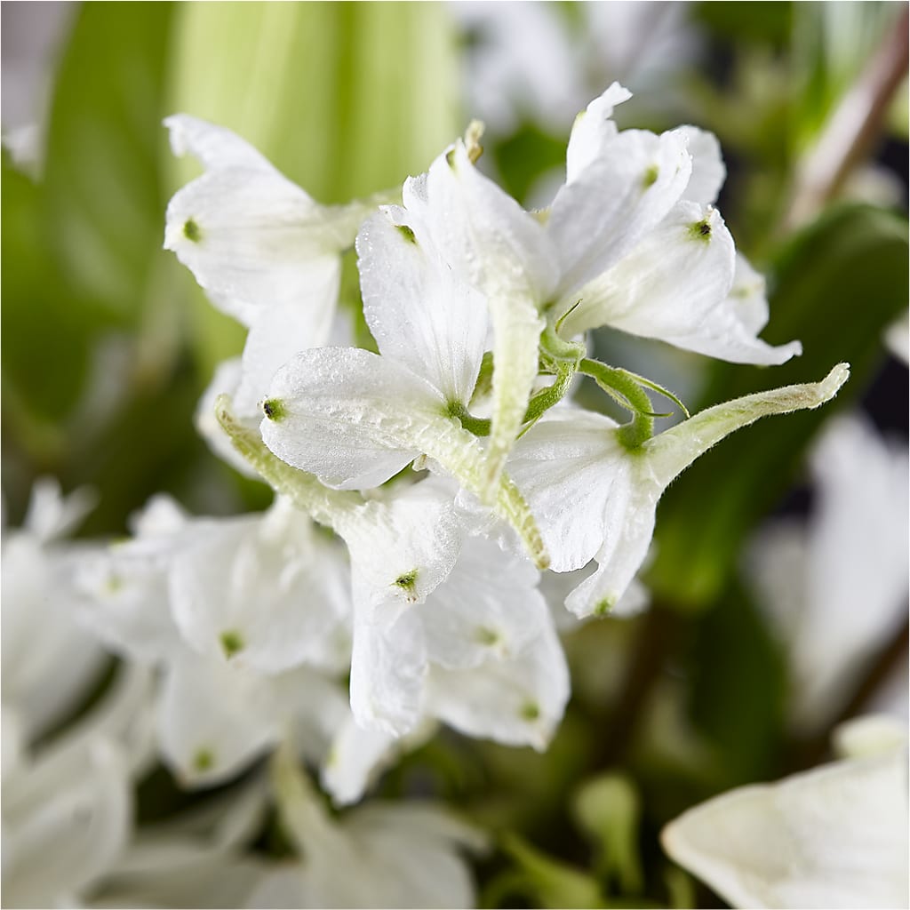 Classic Ivory – A Florist Original – HEARTS & FLOWERS FLORIST, Pine Bush NY