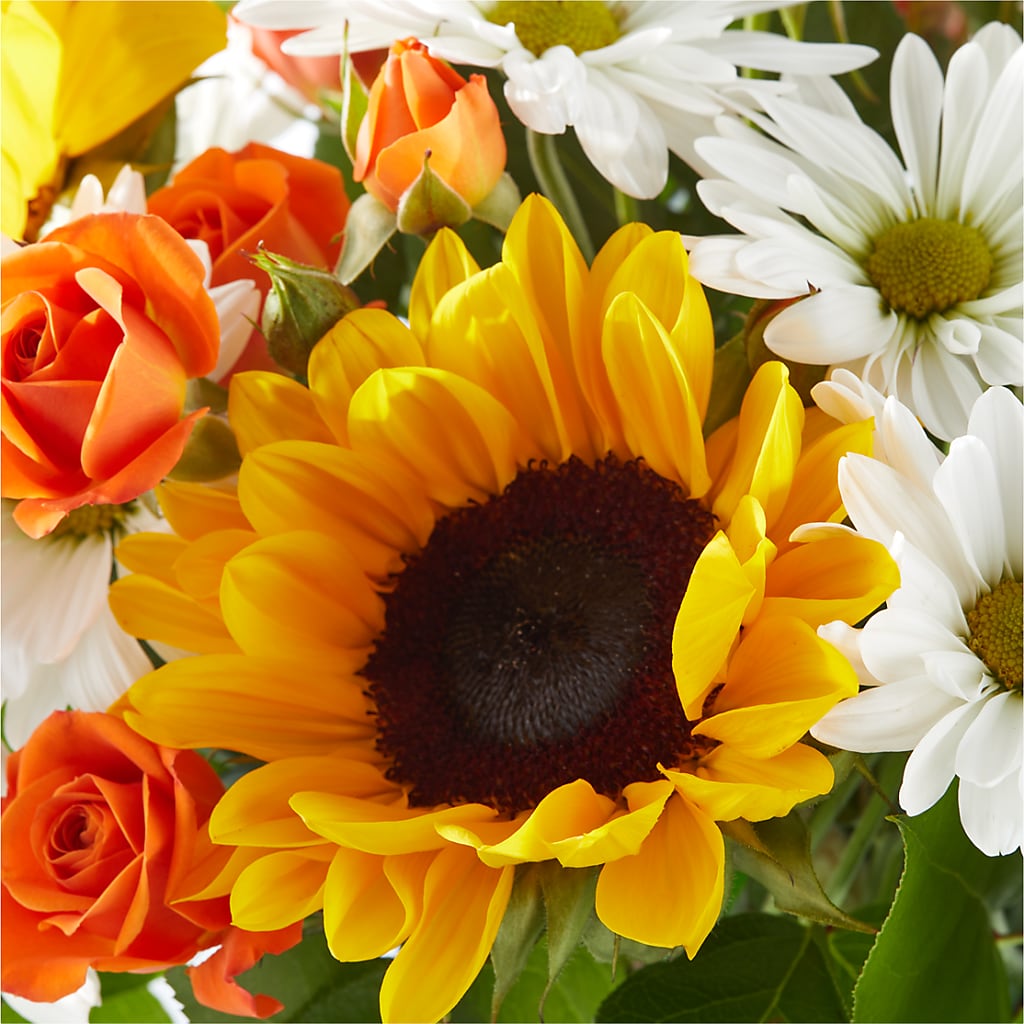Sun-drenched Blooms Bouquet – HEARTS & FLOWERS FLORIST, Pine Bush NY