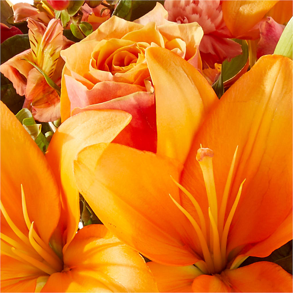 Afternoon Light Bouquet – HEARTS & FLOWERS FLORIST, Pine Bush NY
