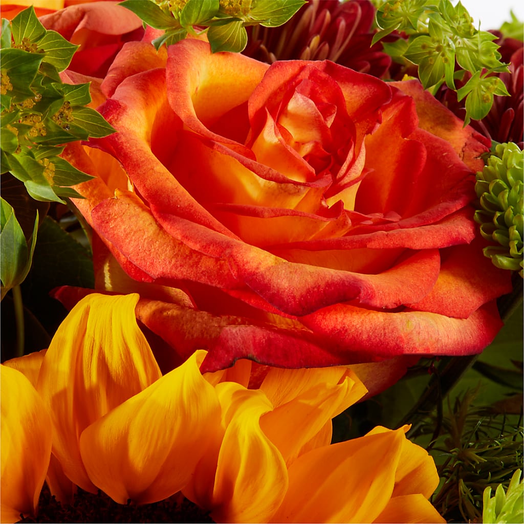 Harvest Festival Bouquet – HEARTS & FLOWERS FLORIST, Pine Bush NY