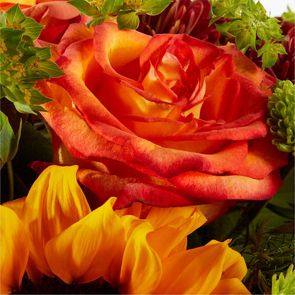 Harvest Festival Bouquet – HEARTS & FLOWERS FLORIST, Pine Bush NY