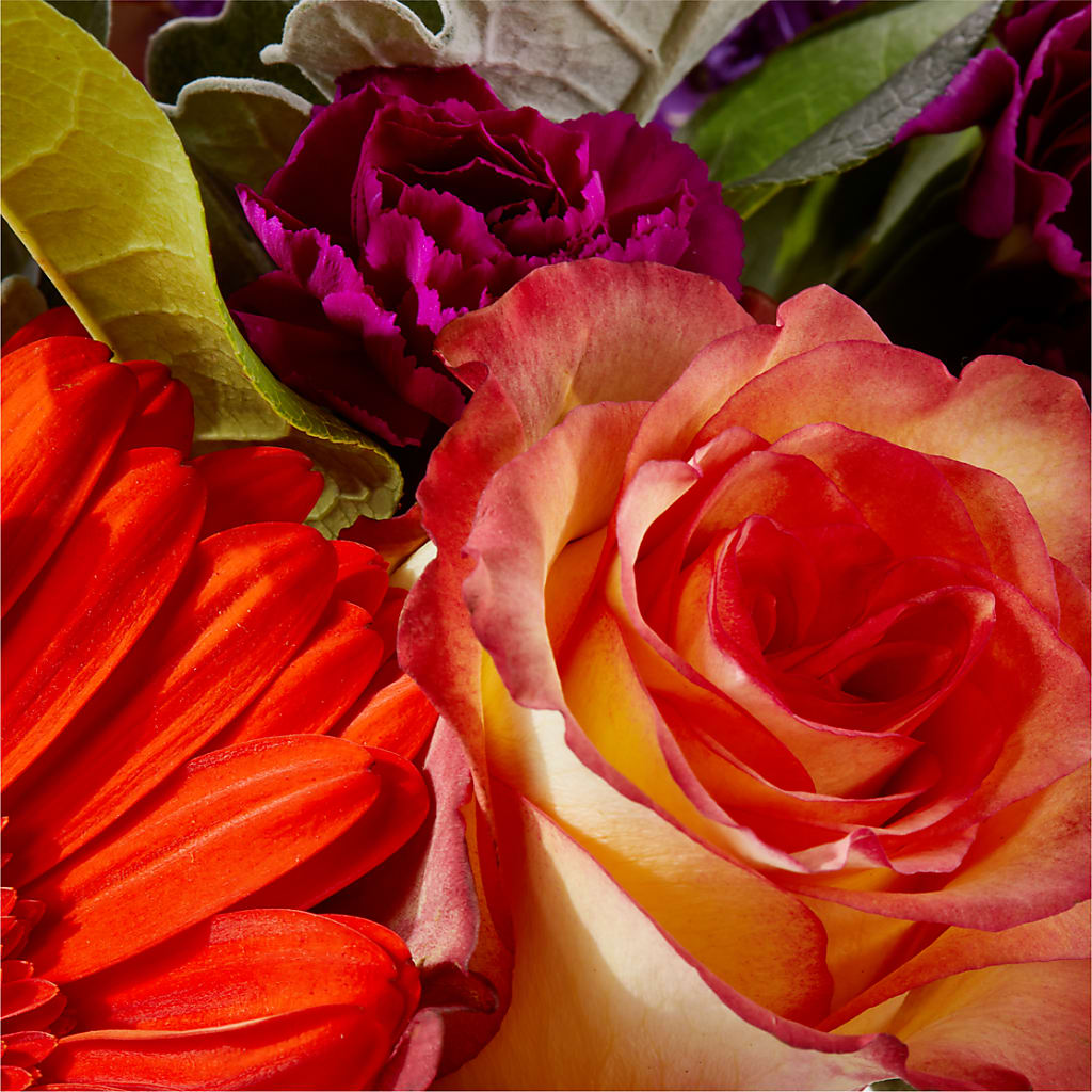 Sangria Bouquet – HEARTS & FLOWERS FLORIST, Pine Bush NY