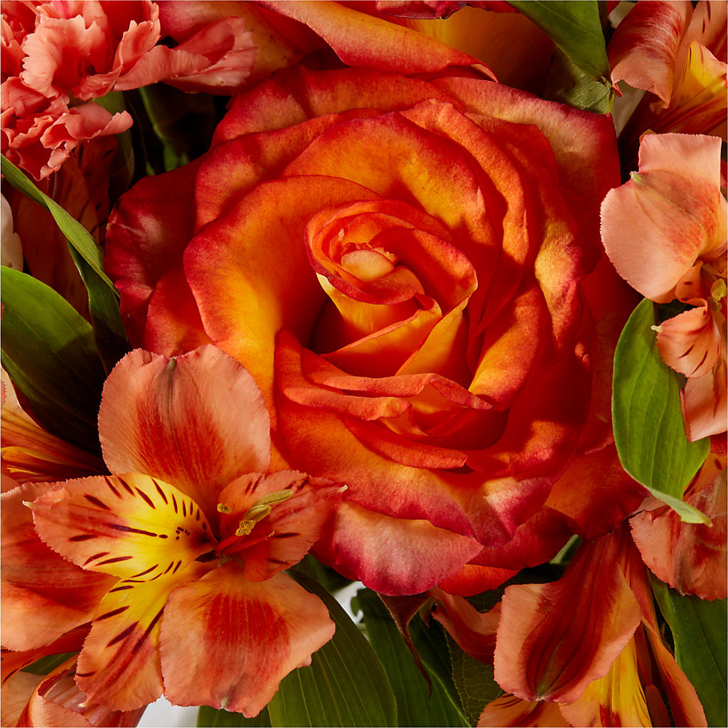 Apricot Glow Bouquet – HEARTS & FLOWERS FLORIST, Pine Bush NY