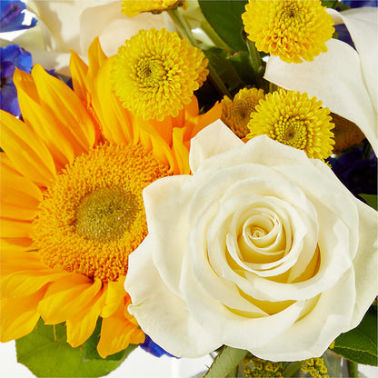 Stargazing Bouquet – HEARTS & FLOWERS FLORIST, Pine Bush NY