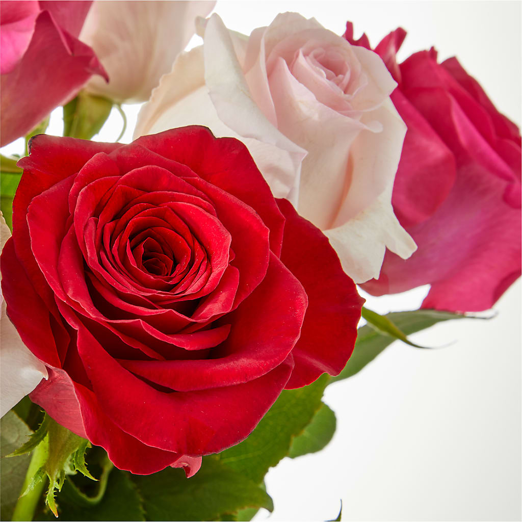 Charming Rose Bouquet – HEARTS & FLOWERS FLORIST, Pine Bush NY