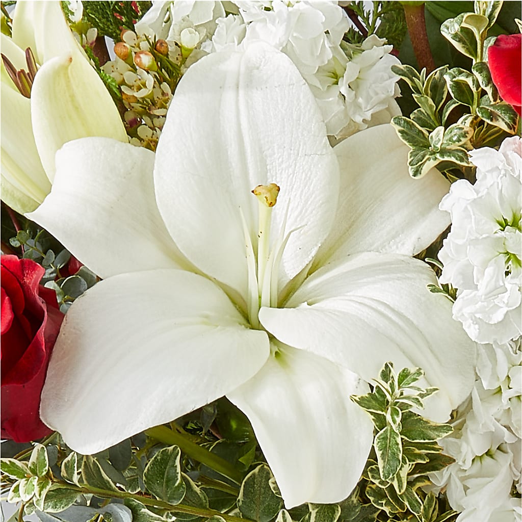 Twinkle Lights Bouquet – HEARTS & FLOWERS FLORIST, Pine Bush NY