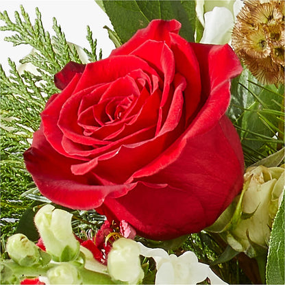 Deck the Halls Bouquet – HEARTS & FLOWERS FLORIST, Pine Bush NY