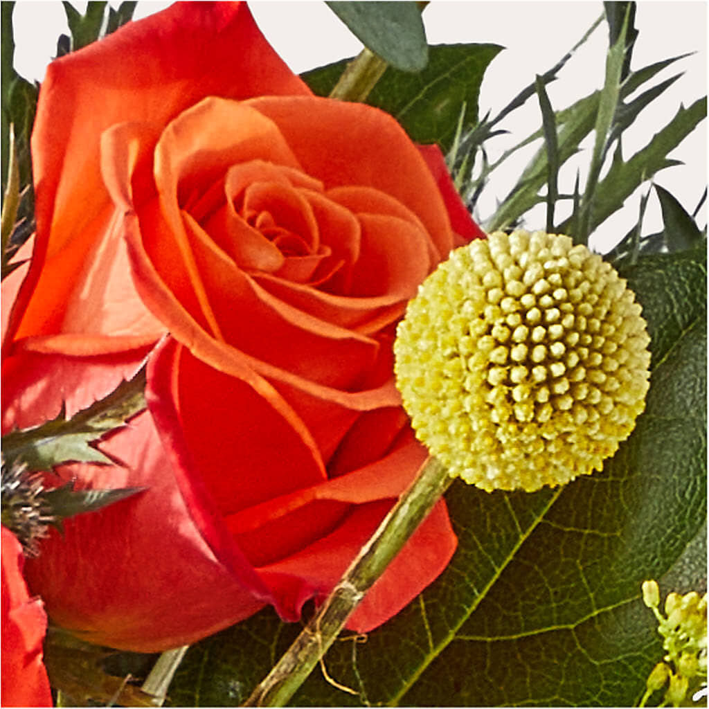 Disco Bouquet – HEARTS & FLOWERS FLORIST, Pine Bush NY
