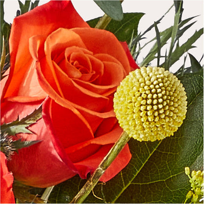 Disco Bouquet – HEARTS & FLOWERS FLORIST, Pine Bush NY