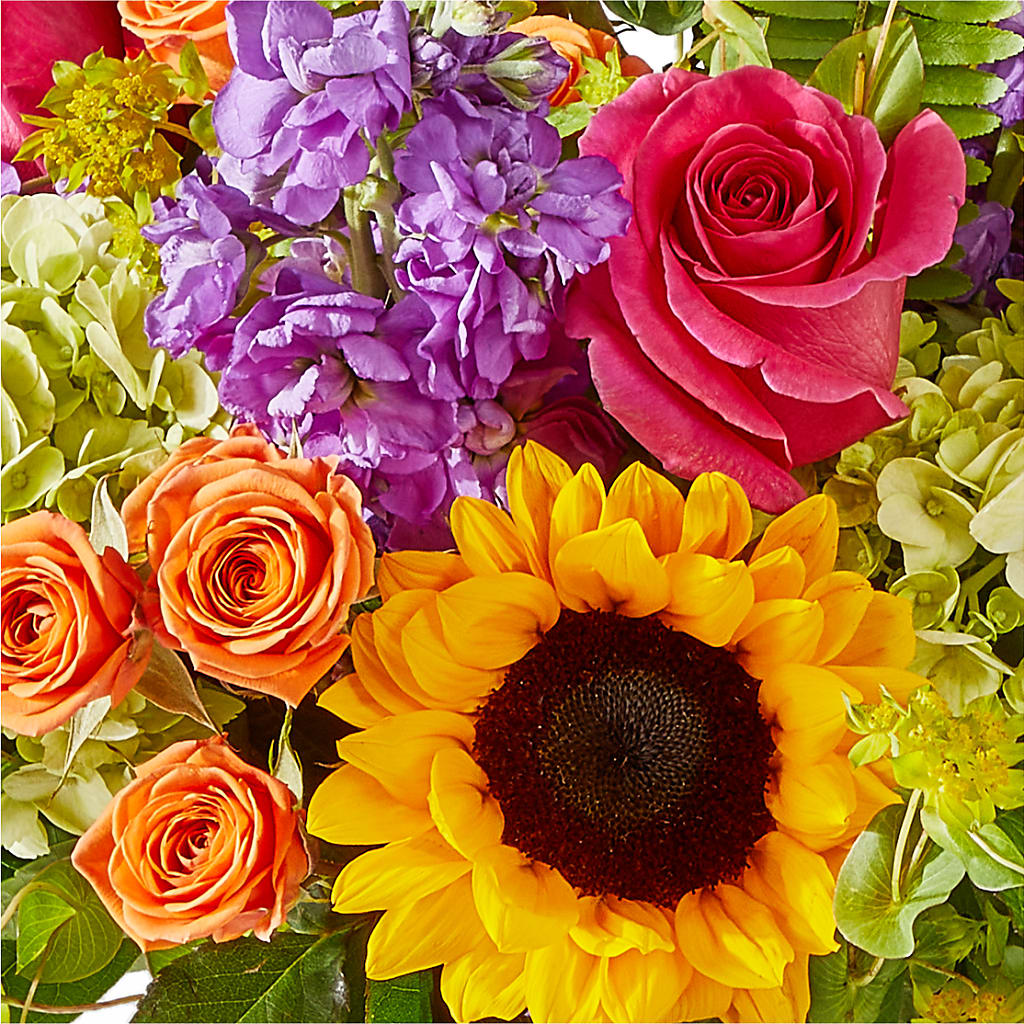 Vibrant Greetings Bouquet – HEARTS & FLOWERS FLORIST, Pine Bush NY