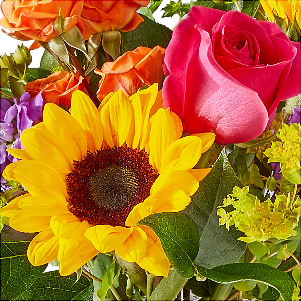 Vibrant Greetings Bouquet – HEARTS & FLOWERS FLORIST, Pine Bush NY