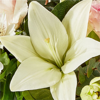 Ballet Slippers Bouquet – HEARTS & FLOWERS FLORIST, Pine Bush NY