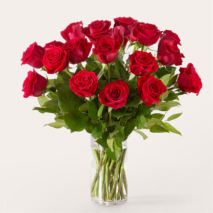 The One Red Rose Bouquet – HEARTS & FLOWERS FLORIST, Pine Bush NY