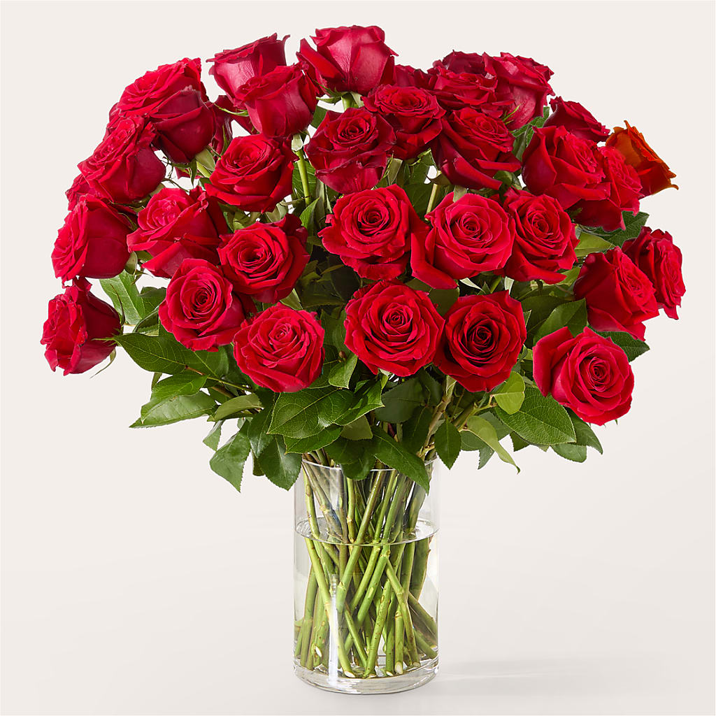 The One Red Rose Bouquet – HEARTS & FLOWERS FLORIST, Pine Bush NY