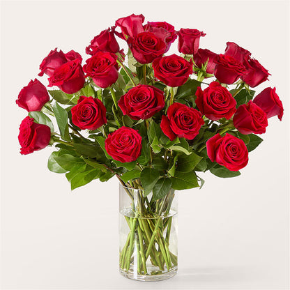 The One Red Rose Bouquet – HEARTS & FLOWERS FLORIST, Pine Bush NY