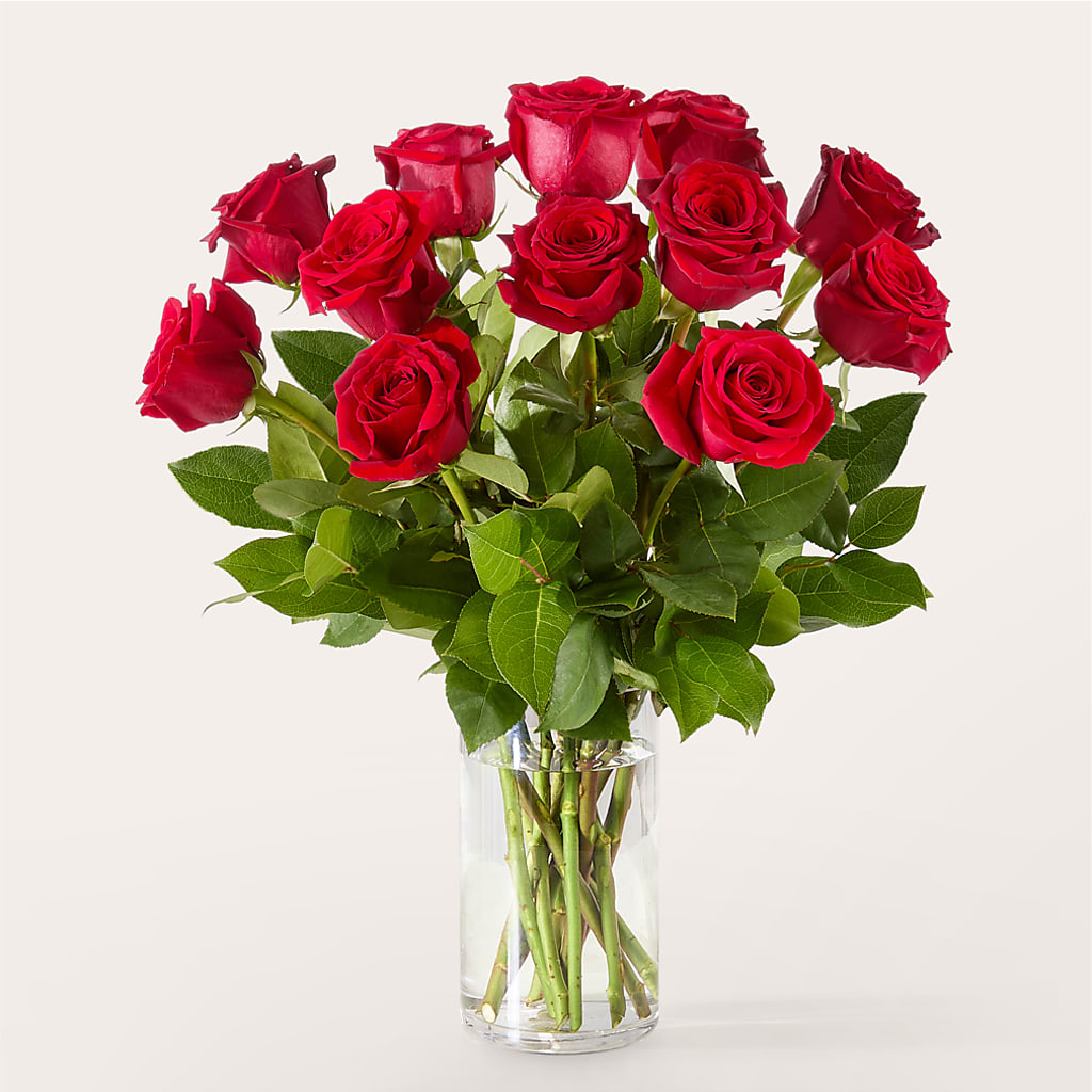 The One Red Rose Bouquet – HEARTS & FLOWERS FLORIST, Pine Bush NY