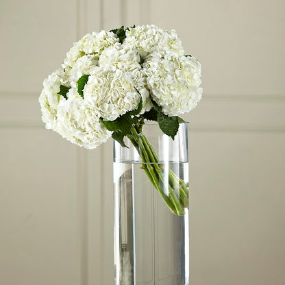 White Hydrangea Hand-Tied Bouquet – HEARTS & FLOWERS FLORIST, Pine Bush NY