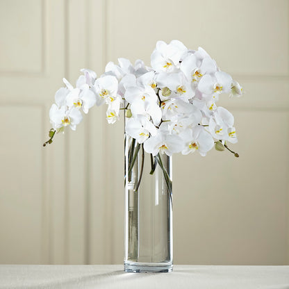 White Phalaenopsis Bouquet – HEARTS & FLOWERS FLORIST, Pine Bush NY
