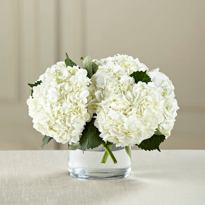White Hydrangea Bouquet – HEARTS & FLOWERS FLORIST, Pine Bush NY